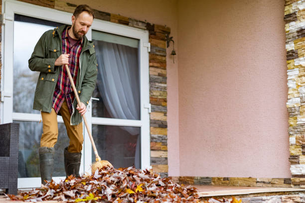 Best Affordable Junk Removal Services  in Rogersville, TN